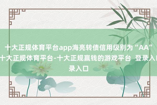 十大正规体育平台app海亮转债信用级别为“AA”-十大正规体育平台-十大正规赢钱的游戏平台 登录入口