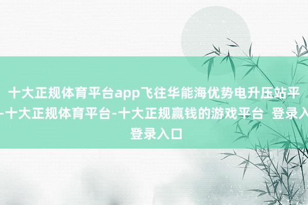 十大正规体育平台app飞往华能海优势电升压站平台-十大正规体育平台-十大正规赢钱的游戏平台 登录入口