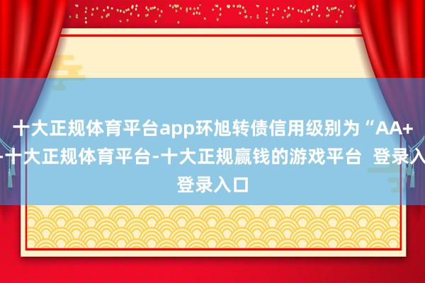 十大正规体育平台app环旭转债信用级别为“AA+”-十大正规体育平台-十大正规赢钱的游戏平台 登录入口