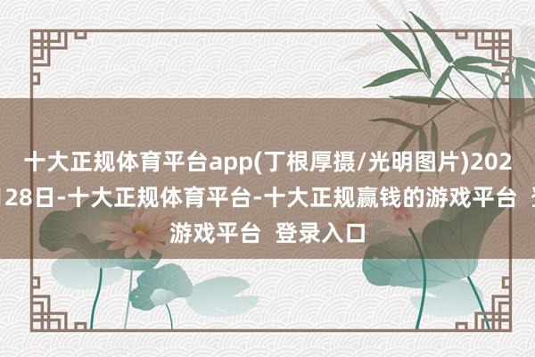 十大正规体育平台app(丁根厚摄/光明图片)2024年12月28日-十大正规体育平台-十大正规赢钱的游戏平台 登录入口